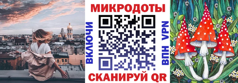 Галлюциногенные грибы Psilocybine cubensis  Купить  Циолковский 